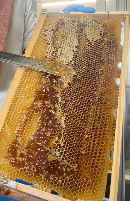 生ハチミツ ＜S＞